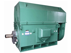 乌海Y系列6KV高压电机